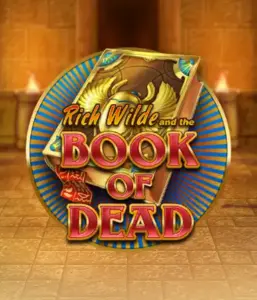 Enter the thrilling world of Book of Dead Slot by Play'n GO, presenting vivid graphics of Rich Wilde’s adventurous journey through ancient Egyptian tombs and artifacts. Uncover lost riches with exciting mechanics like free spins, expanding icons, and a gamble option. Ideal for adventure enthusiasts with a desire for thrilling discoveries.